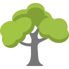 Loveland Tree Removal