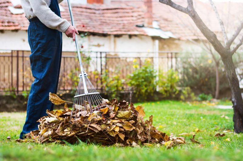 Leaf Raking Effectiveness
