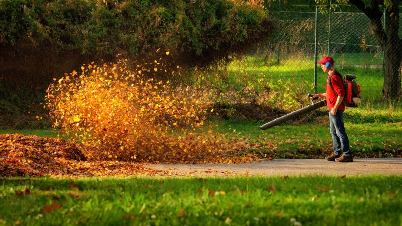 Leaf Blowing for Quick Clearing